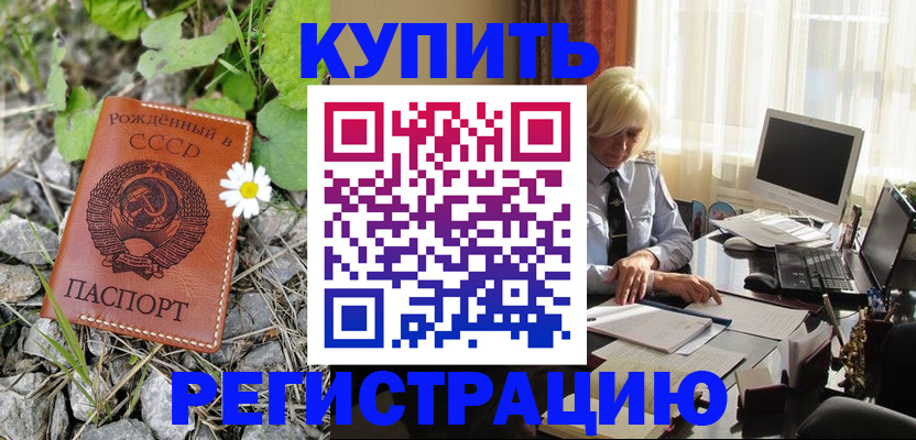 временная регистрация недорого в Вологде